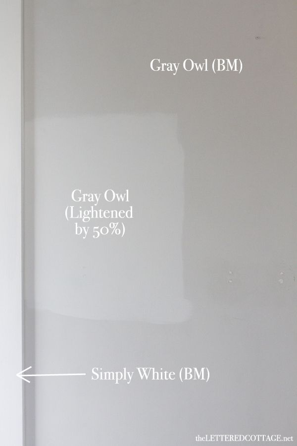 Top Neutral Paint Color Benjamin Moore Gray Owl Oc 52 Resource Center Spectrum Quality Coatings Solutions - Paint Colors Similar To Gray Owl